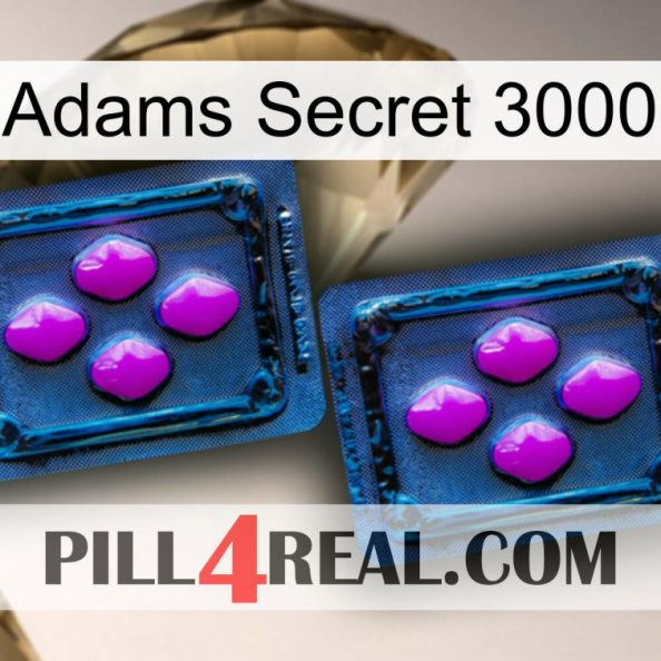 Adams Secret 3000 03.jpg